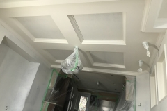 Residential Ceiling 2